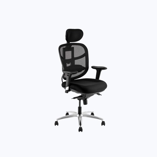 Ergonomics Chair