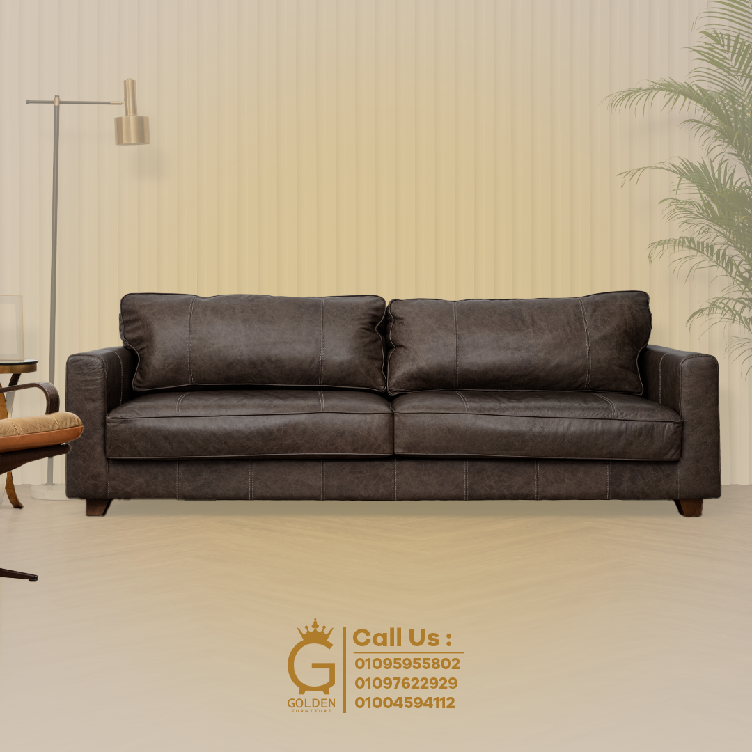 جولدن فرنتشر promo